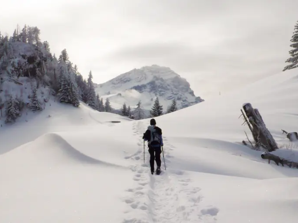 Winter Wonderland Adventures: Gear Up with 14er Tactical for Ultimate Cold-Weather Exploration