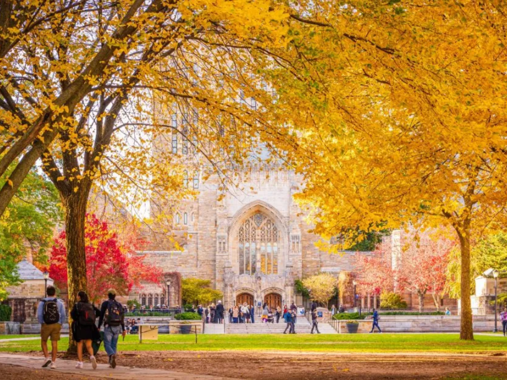 Back to School, Back to Basics: Tactical Gear for Student Life