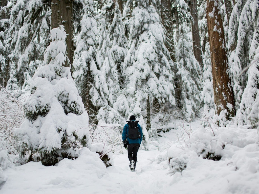 Winter is Coming: How to Prepare Your Tactical Gear for Cold Weather