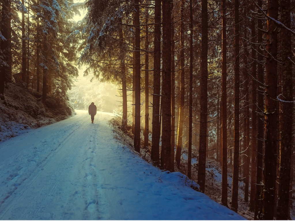 Winter Wanderlust: Essential Tips for a Stress-Free Hiking Adventure