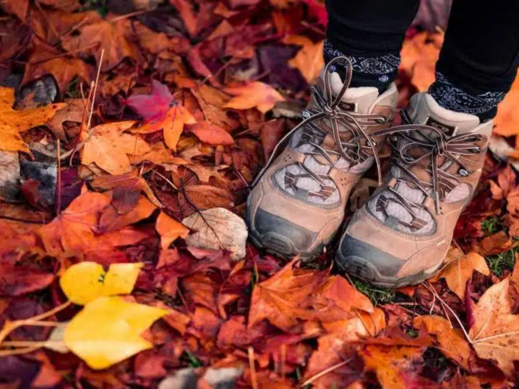 Top 5 Hiking Places in the US for Fall 2024