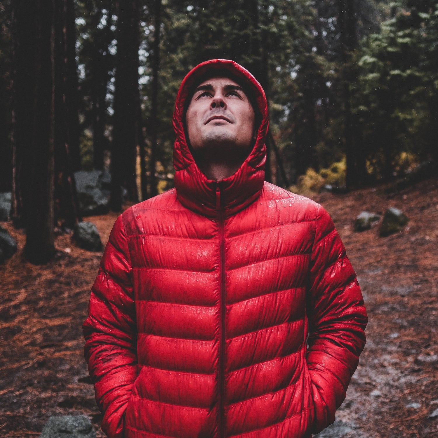 Embracing the Elements: A Guide to Hiking in the Rain and Tactical Gear Essentials