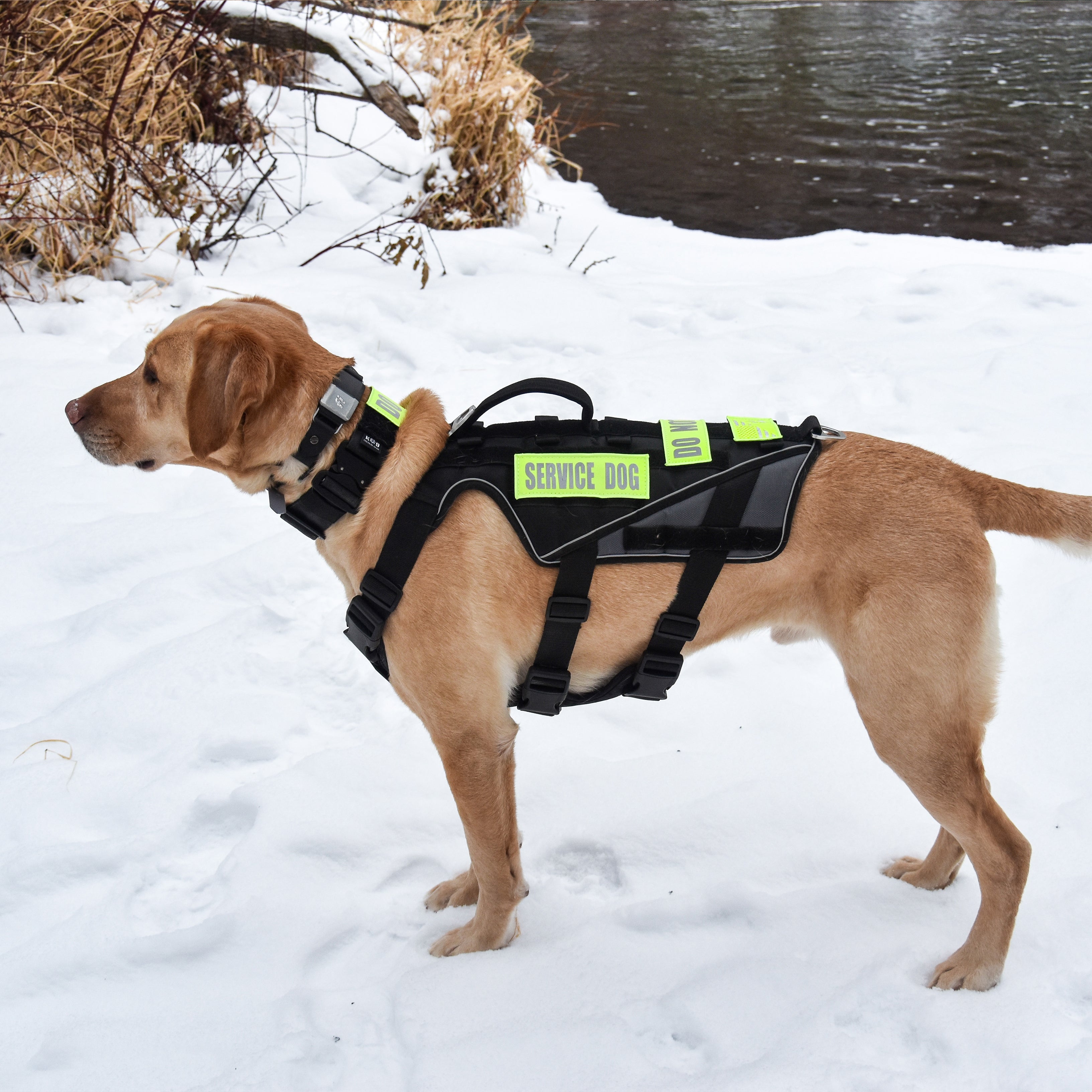 Dog vest with clearance patches